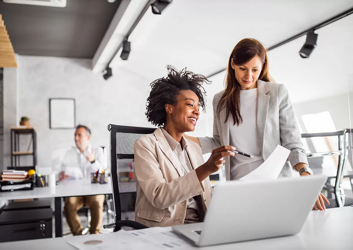 HCM/HRIS Implementation Consultants